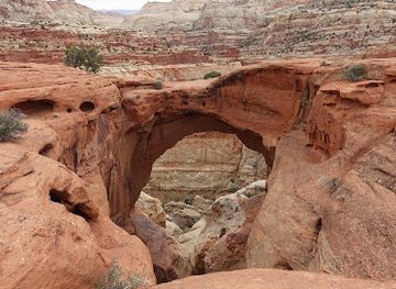 utah/capitol-reef-national-park/attraction/cassidy-arch-trailhead
