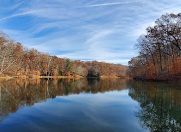 indiana/southeast-indiana/attraction/morgan-monroe-state-forest