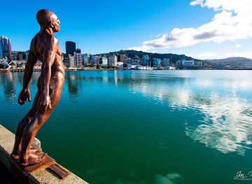 new-zealand/wellington/attraction/solace-in-the-wind-the-naked-man-statue
