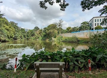 singapore/southern-ridges/attraction/kent-ridge-park-pond