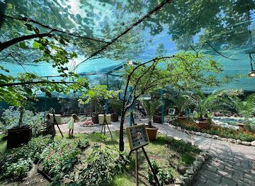 moldova/chisinau/botanica/attraction/befly-garden