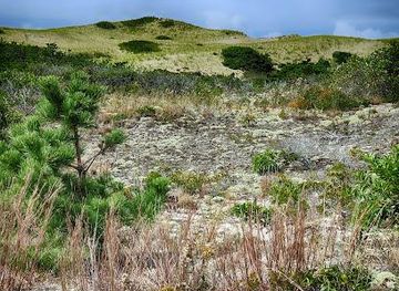massachusetts/hyannis/attraction/province-lands-bike-trail