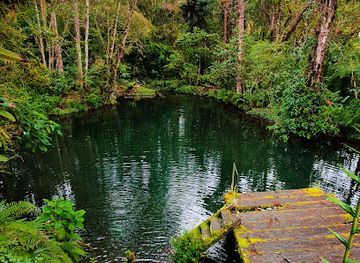 panama/volcan/attraction/finca-dracula