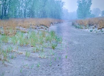 pennsylvania/erie/attraction/kite-beach