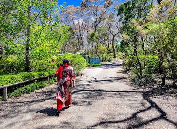 australia/far-west/attraction/campbell-rhododendron-gardens