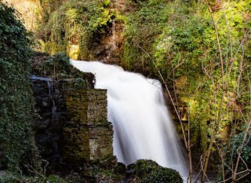 united-kingdom/yorkshire-dales-national-park/attraction/wensley-waterfall