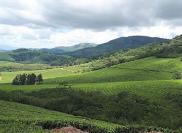 zimbabwe/eastern-highlands/attraction/honde-valley