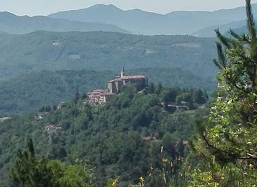 italy/langhe/attraction/arboreto-prandi