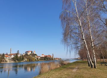 slovenia/ptuj/attraction/forest-beach