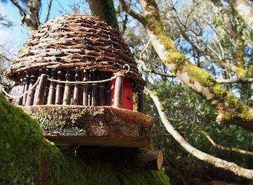 ireland/achill-island/attraction/woodland-faerie-trail