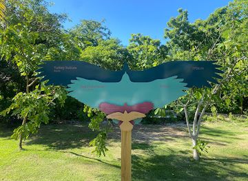 dominican-republic/punta-cana-bavaro/attraction/ojos-indigenas