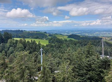 germany/alps/attraction/skywalk-allgau-wald-abenteuerwelt
