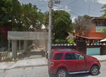 mexico/tulum/attraction/monkey