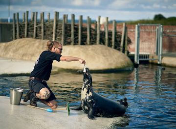 denmark/esbjerg/attraction/fiskeri-og-sofartsmuseet