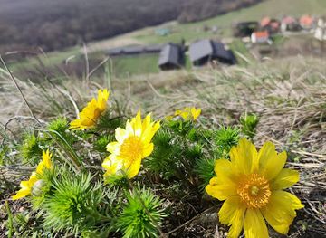 hungary/vertes-mountains/attraction/borisz-kilato