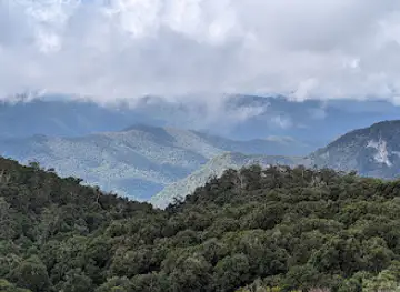 Wrights lookout walking track