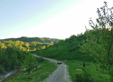 romania/dambovita/attraction/malul-cu-sare