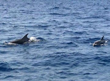 malta/tarxien/attraction/ecomarine-malta-kalkara