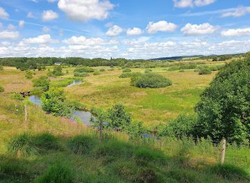 denmark/central-jutland/attraction/borup-hede