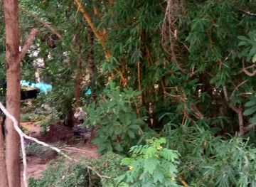 ghana/koforidua/attraction/parks-and-gardens-dept