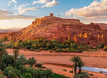 morocco/tensift/attraction/camel-ride-marrakech