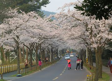 south-korea/jeju-city/jeju-city-center/attraction/sumokwon-theme-park