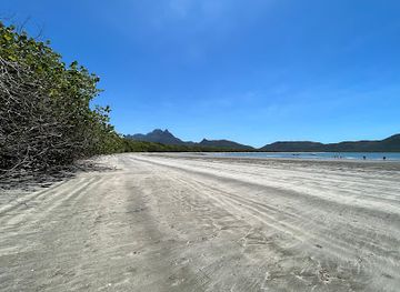 australia/hinchinbrook-island/attraction/zoe-bay-campgrounds
