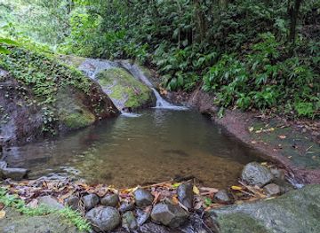 saint-vincent-and-the-grenadines/georgetown/attraction/fenton-falls