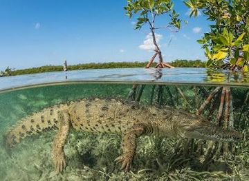 costa-rica/guanacaste/attraction/discover-tamarindo-travel-agency