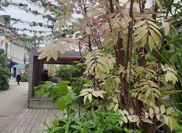 france/saint-tropez/attraction/rue-georges-clemenceau