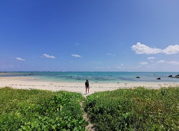 japan/ishigaki-island/attraction/ibaruma-heart-rock
