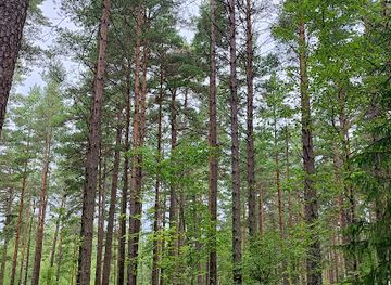 sweden/orebro/attraction/sanatoriesparet