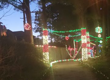 texas/the-woodlands/attraction/path-of-lights