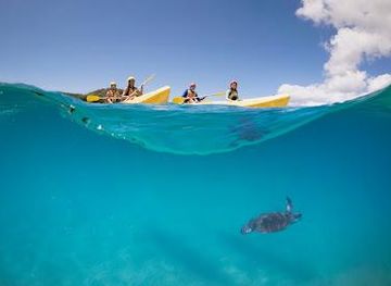 australia/byron-bay/attraction/cape-byron-kayaks