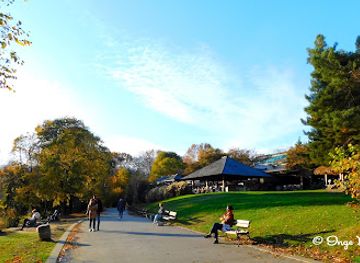 bulgaria/varna/attraction/peyka-za-vdykhnovenie-i-razmishlenie