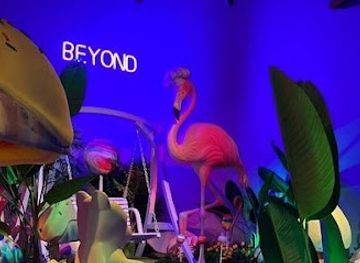 spain/madrid/attraction/sweet-space-museum