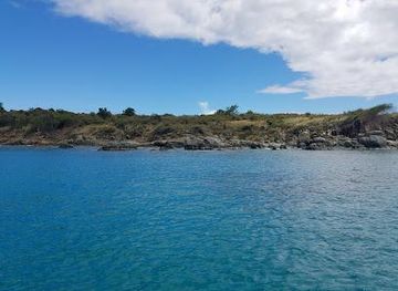 british-virgin-islands/road-town/attraction/buck-island-cove