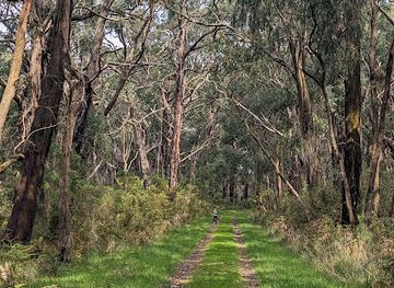 australia/mornington-peninsula/attraction/main-ridge-nature-conservation-reserve
