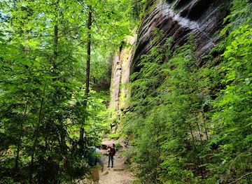 alabama/cheaha-state-park/attraction/dismals-canyon