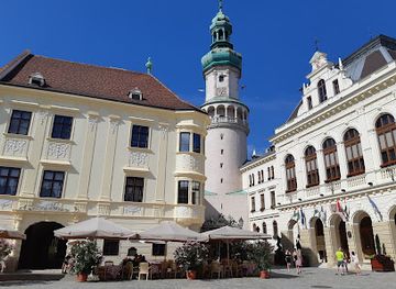 hungary/sopron-wine-region/attraction/tematikus-setak-sopronban