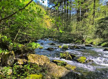 belgium/malmedy/attraction/pont-pieton-sur-la-warche