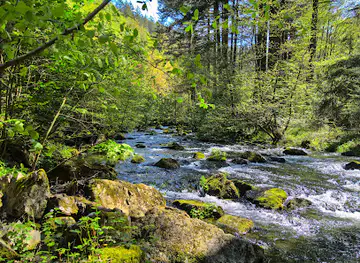 Pont piéton sur la Warche