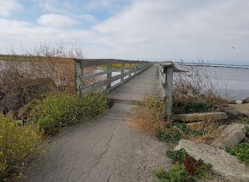 california/castro-valley/attraction/hayward-regional-shoreline