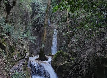 lebanon/horsh-ehden/attraction/nabaa-ziret-et-tine