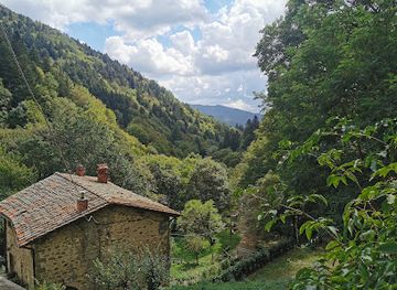 italy/casentino/attraction/monastery-of-camaldoli