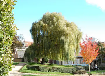 Busselenbergpark