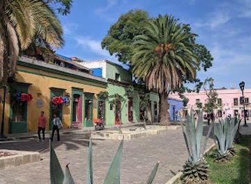 mexico/oaxaca/centro-historico/attraction/jardin-del-panuelito