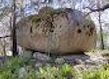 australia/canberra/attraction/the-bigger-potato