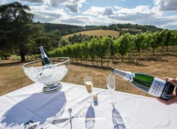 united-kingdom/windsor/attraction/fairmile-vineyard-henley-on-thames