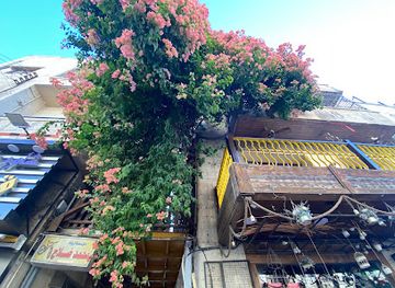 jordan/amman/attraction/shajarat-al-jahmiah